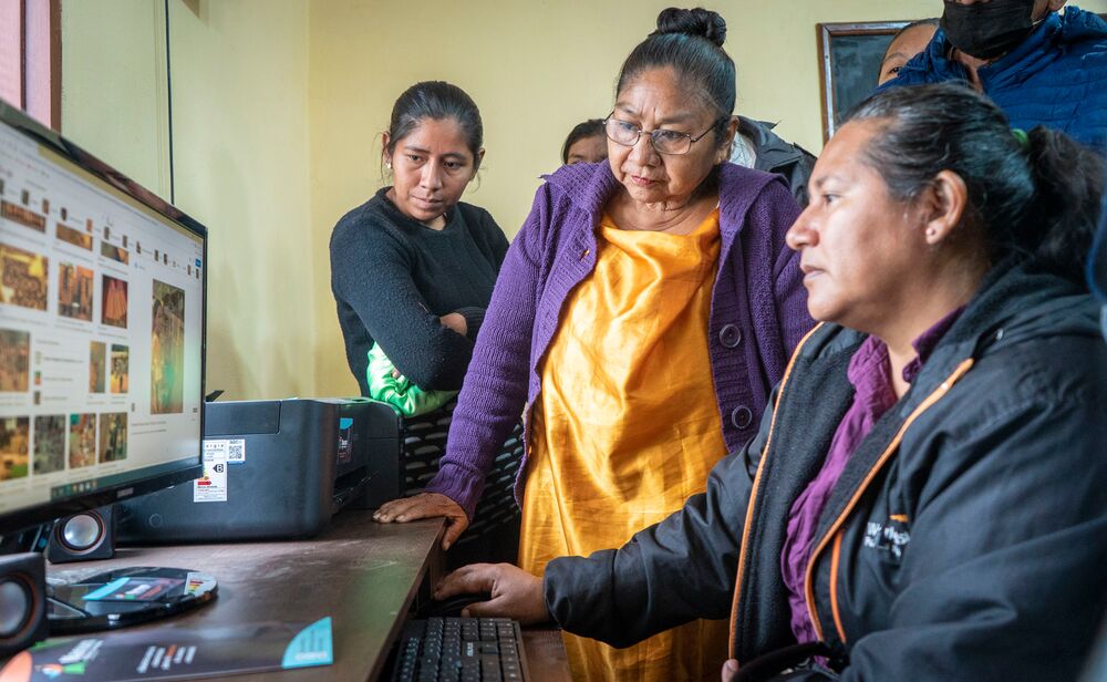 Several people attentively viewing a computer screen